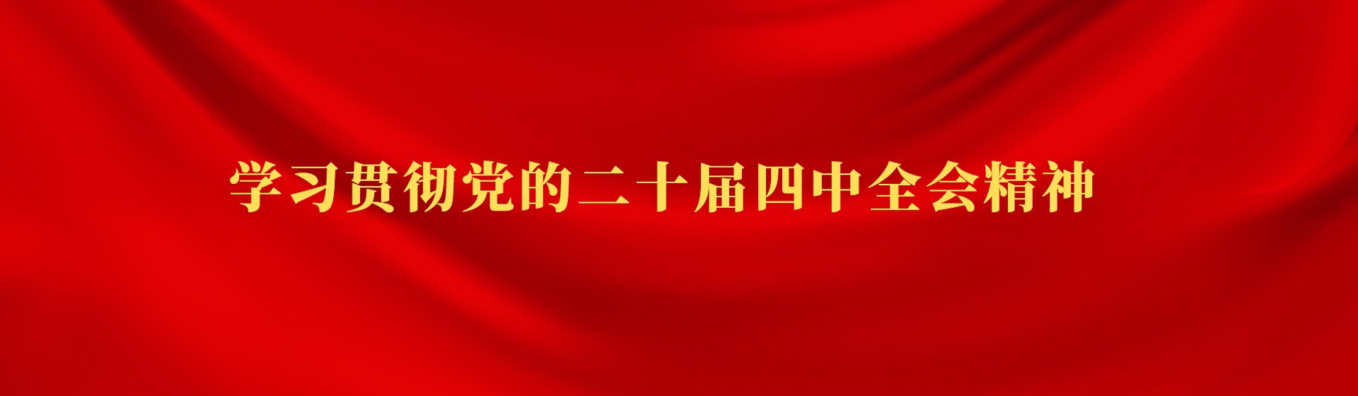 學習貫徹黨的二十屆四中全會精神